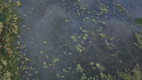 Aerial-reveal-of-marsh-near-Mobile-Bay,-Alabama