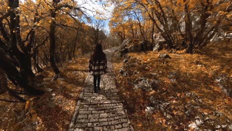 Girl-walking-on-a-stone-paved-road-in-the-hills-surrounded-by-autumn-leafs-turning-orange