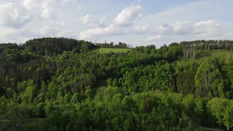 Schöne-Frühlingslandschaft-Mit-Wald-Und-Hügeln