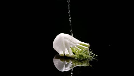 Water-stream-falling-on-fennel-lying-on-side,-isolated-on-black-background