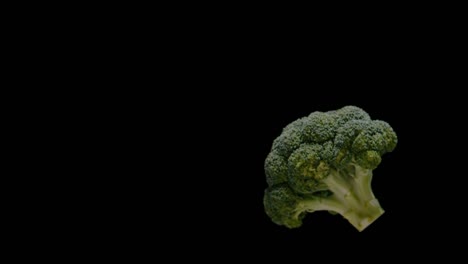 Fresh-delicious-green-broccoli-falling-isolated-on-black-background,-slow-motion