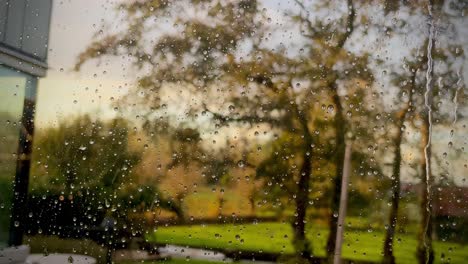 Eine-Nahaufnahme-Von-Regentropfen-Auf-Einem-Transparenten-Glas-Mit-Dem-Hintergrund-Von-Bäumen
