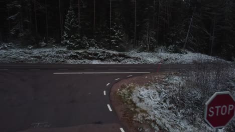 Bergab,-Wald,-Stoppschild,-Winter