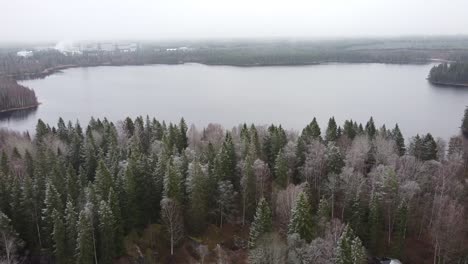 lake-surrounded-by-forest-with-frost-and-factory-in-a-distance