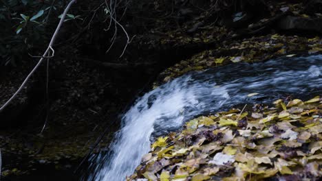Hand-held-shot-of-a-small-waterfall-flowing-with-leaves-surrounding