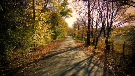 Fahren-Auf-Einer-Leeren-Asphaltstraße-Mit-Gelben-Markierungen,-Die-An-Einem-Sonnigen-Herbsttag-Durch-Einen-Mischwald-Mit-Kiefern-Und-Bäumen-Mit-Gelbem-Laub-Führt