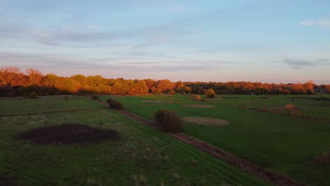 Autumn-colored-forest-and-vast-green-agriculture-fields,-aerial-drone-view