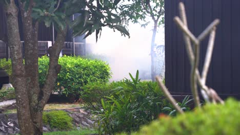 Fumigation-activities-with-thick-plumes-of-white-smokes-around-the-neighborhood,-to-kill-mosquitoes-and-other-insects,-to-prevent-the-spread-of-dengue-fever