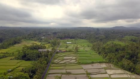 Große-Klumpen-über-Bali-Ricefield