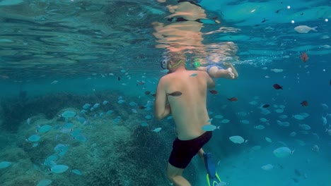 Underwater-slow-motion-footage-of-man-and-child-swimming-in-blue-tropical-sea-water-surrounded-by-school-of-fish