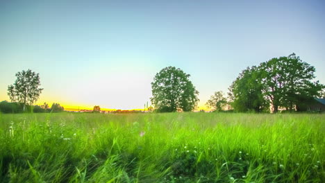 Zeitraffer-Einer-Wiesenlandschaft-Mit-Bäumen-Und-Aufgehender-Sonne-Im-Hintergrund