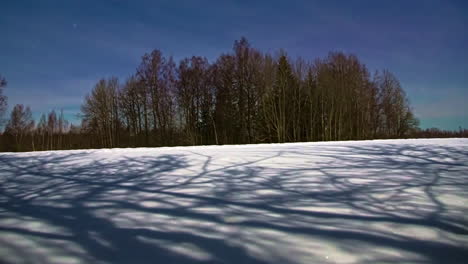 Shadow-of-tree-branches-moving-on-white-snow-in-winter-season,-time-lapse-view