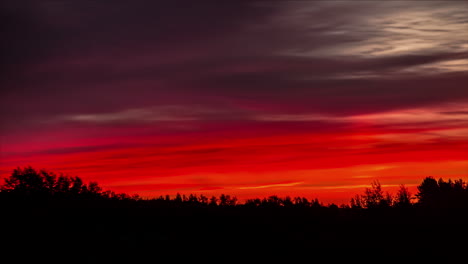 Time-lapse-shot-of-red-colored-sky-behind-forest-trees-and-covering-dark-clouds