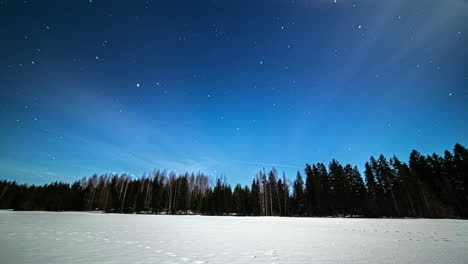 Timelapse-of-snowy-clearing-with-dense-woods-and-starry-sky-in-the-background