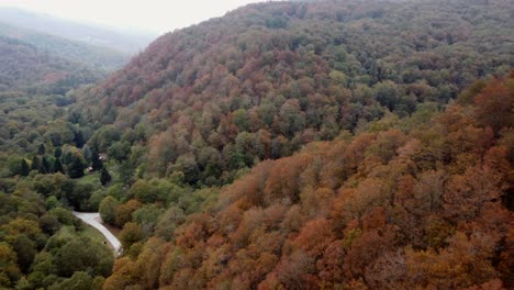 Aerial-view-on-mountains-in-Spain-through-National-Park,-a-forest-of-trees-with-beautiful-fall-colors