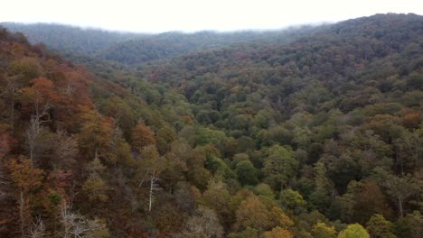 Drone-view-on-mountains-with-fog-in-Spain-through-a-National-Park,-forest-of-trees-with-fall-colors
