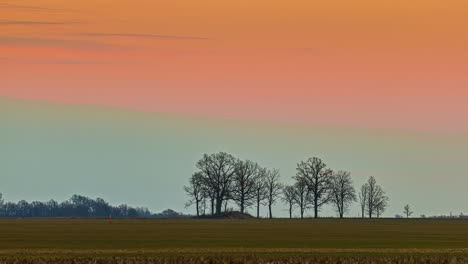 Dramatic-timelapse-of-sunset-sky-with-orange-color-and-trees-at-the-background-meeting-horizon
