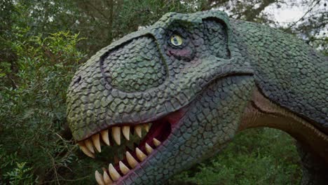 Real-sized-greenish-nanotyrannus-dinosaur-head-closeup-view,-60fps