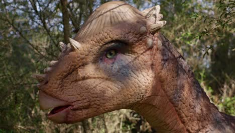 Real-sized-Dinosaur-pachycephalosaurus-dinosaur,-green-eye-and-head-close-up