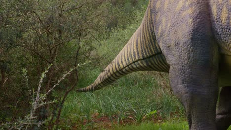 Cola-De-Dinosaurio-En-Movimiento,-Tamaño-Real-Animatronic-4k,-60fps,-Suchomimus