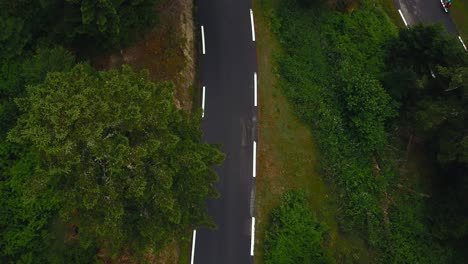 Vista-Aérea-De-Drones-De-Un-Solo-Ciclista-De-Carretera-En-Bicicleta-Por-Una-Carretera-Rodeada-De-Silvicultura-En-Las-Montañas