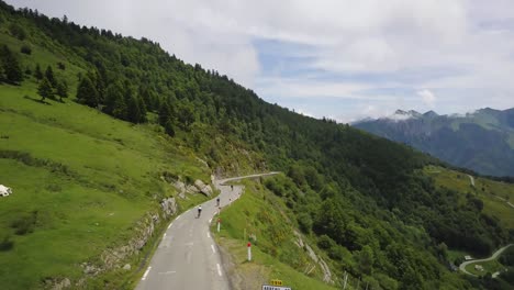 drone-aerial-following-view-of-four-cyclists-on-a-cycling-tour-starting-an-eic-decent-down-col-d'aspin-in-the-french-pyrenees-surrounded-by-cows,-trees,-grass,-mountains-and-an-epic-scenery