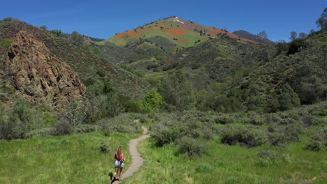 Woman-runs-towards-mountain-colored-by-superbloom-poppies