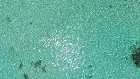 Smaragdgrüner-Ozean-Meer-Strand-Seychellen-Drohne-Luftaufnahme