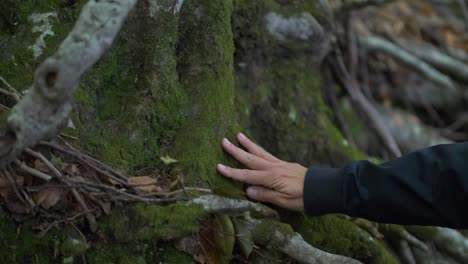 Hand-touching-softly-with-love-a-tree-bark-with-moss