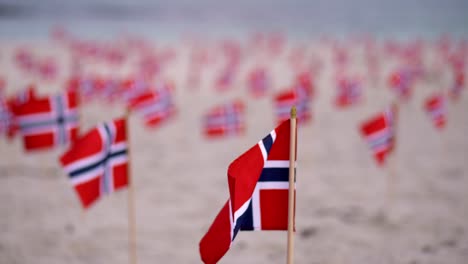 Shallow-focus-many-Norway-flags-blowing-in-breeze-on-sandy-beach