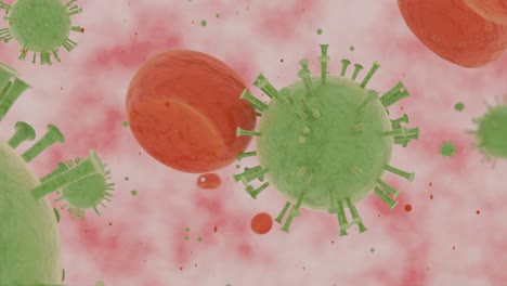 Corona-Virus-Ataca-Células-Sanguíneas