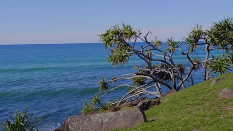 Ocean-View-From-Burleigh-Heads-National-Park---Burleigh-Heads-Beach-In-Gold-Coast,-Queensland,-Australia