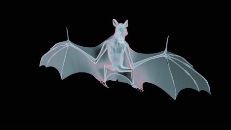 Coronavirus-disease-medical-presentations-in-graphical-video-with-Bat