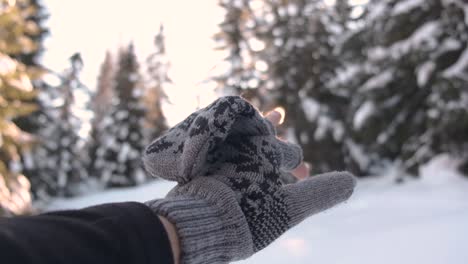 Hand-Mit-Handschuhen,-Die-In-Der-Verschneiten-Landschaft-Nach-Der-Sonne-Greifen-Standort:-Südtirol