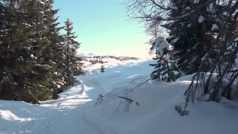 Verschneite-Landschaft-Inmitten-Der-Dolomiten-In-Den-Alpen