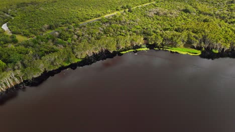 Beautiful-green-forest-edge--Lake-Ainsworth--Lennox-Head-NSW-Australia--Aerial