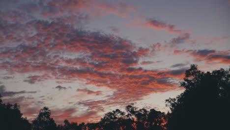 Hermosas-Nubes-Rojas-Ardientes-En-El-Cielo-Púrpura-Sobre-Los-árboles--ancho
