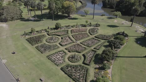Couple-Meeting-At-Rose-Garden-On-A-Sunny-Day---Centennial-Park,-Sydney---aerial
