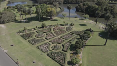 Hombre-Y-Mujer-Reunidos-En-El-Jardín-De-Rosas-En-El-Parque-Centenario---Sydney,-Australia---Drone-Aéreo
