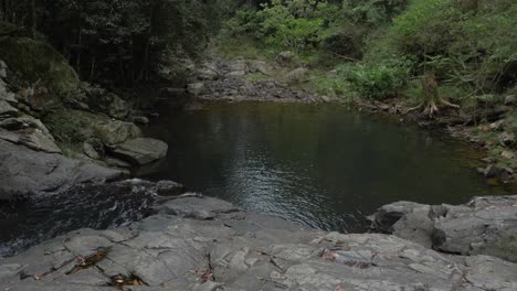 Tranquil-Water-Stream-At-Currumbin-Rockpools-Inside-Rainforest---Currumbin-Valley,-Queensland,-Australia