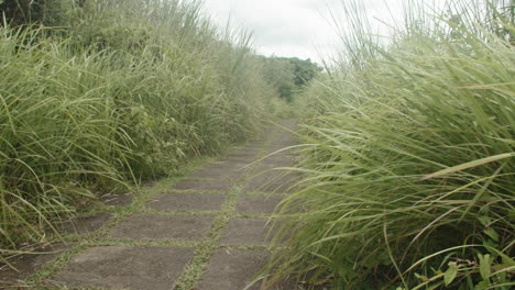 Empty-concrete-path-surrounded-by-long-green-grass-in-countryside