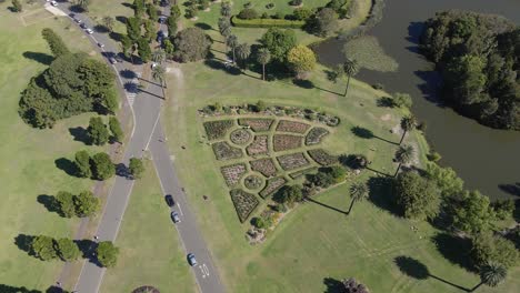 Dickens-Drive-In-Der-Nähe-Von-Rose-Garden-Und-Busbys-Pond-Im-Sommer---Centennial-Park,-Nsw,-Australien
