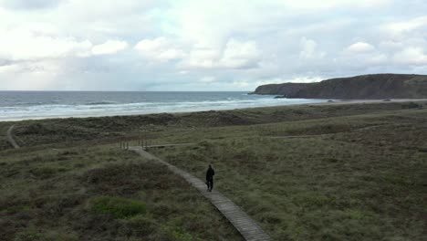 Back-view-of-man-walking-alone-on-path-and-dunes-leading-to-deserted-beach
