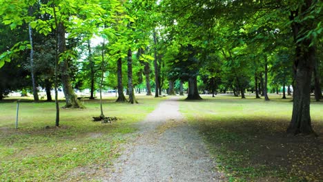 Ein-Spaziergang-Durch-Den-Park-Entlang-Eines-Von-Bäumen-Umgebenen-Weges-Und-Eines-Landschaftspfades