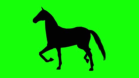 Silhouette-Eines-Pferdegalopps,-Auf-Grünem-Bildschirm,-Seitenansicht