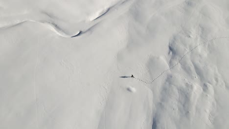 Ein-Einzelner-Mann-Wandert-Mit-Seinen-Schneeschuhen-Mitten-In-Den-Schneebedeckten-Italienischen-Bergen