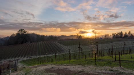 day-to-night-Time-Lapse-open-field-vineyard-in-Napa-California-sunsetting-towards-the-mountains-and-clouds-moving