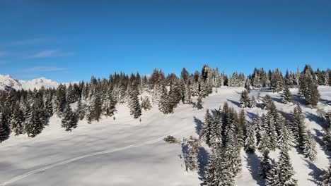 Wunderschöne-Italienische-Alpen-Im-Winter-Mit-Schneebedeckten-Bäumen-Und-Einem-Unglaublichen-Sonnenuntergang