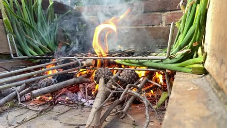 Delicious-tasty-roasted-Calcots-cooking-on-BBQ-fire-grill-slow-motion-closeup