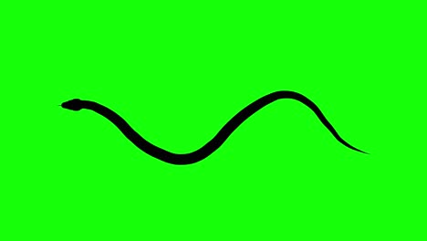 Silhouette-Einer-Kriechenden-Schlange,-Auf-Grünem-Bildschirm,-Draufsicht